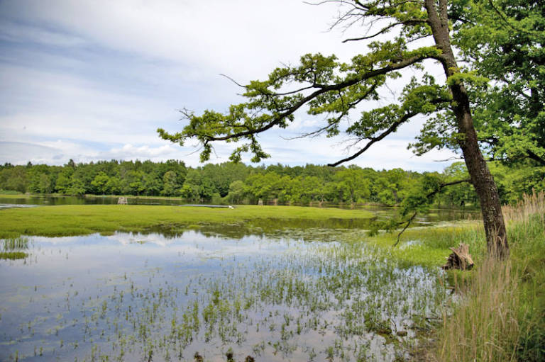 Třeboňské rybníky