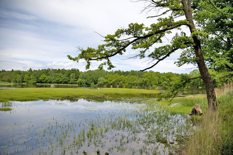 Třeboňské rybníky