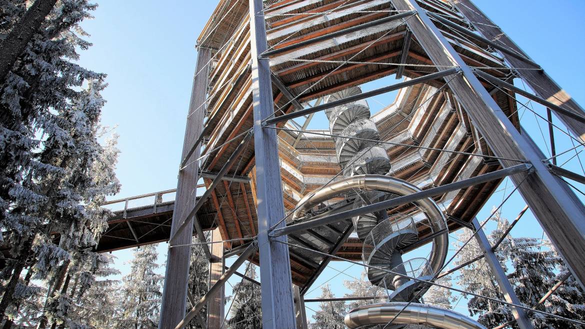 Stezka korunami stromů na Lipně