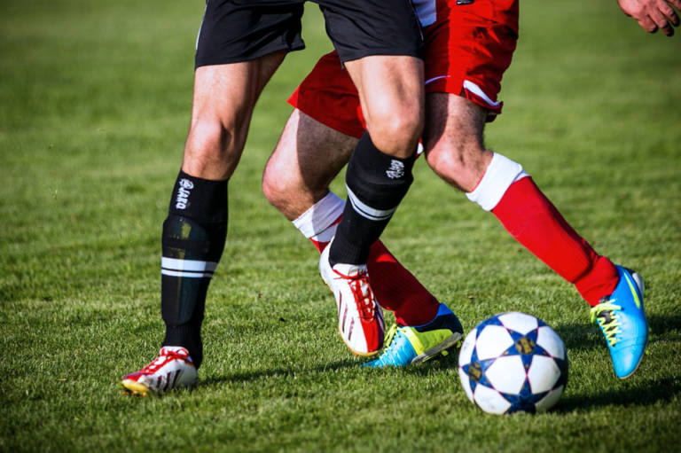 Travnaté plochy k pronájmu